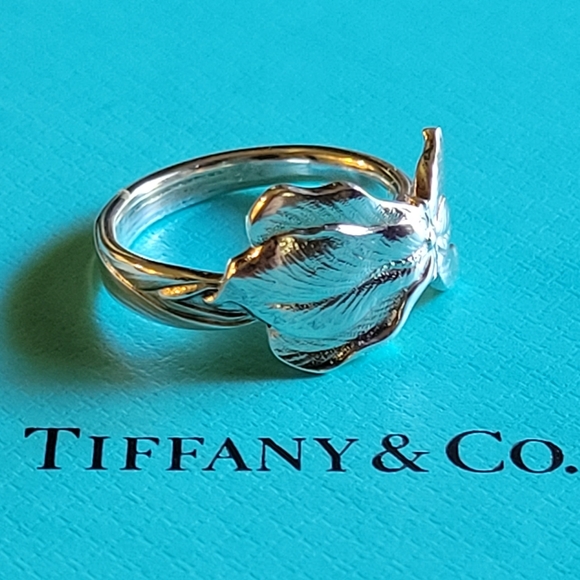 1885 Tiffany & Company IRIS Spoon Ring in Sterling Silver #66 - Picture 3 of 14